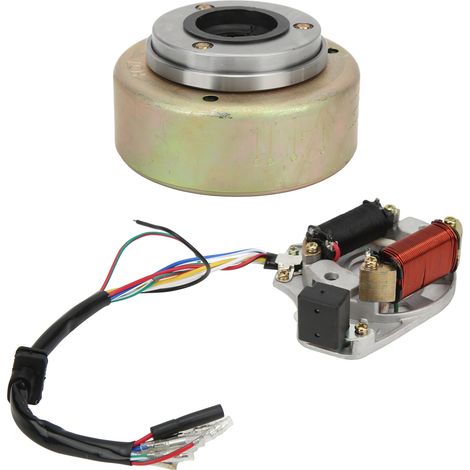 Kit rotor de stator de magnéto pour moteur 110cc 125cc PIT PRO PIT bike trail bike (1/5)