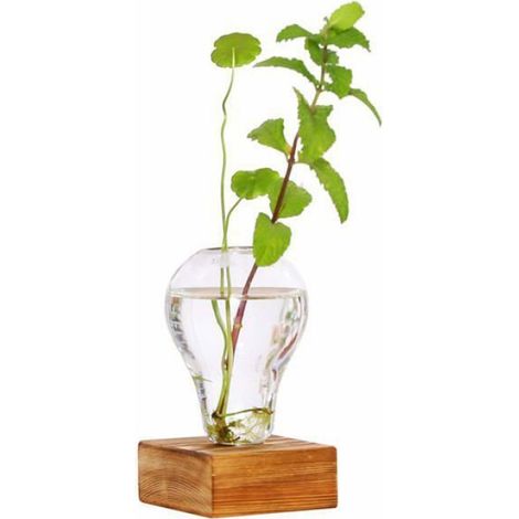 Vase De Plantation - Verre Et Bois - Support Mural Ou Bureau - Pour Plantes Hydroponiques - 1 Pièce (1/4)