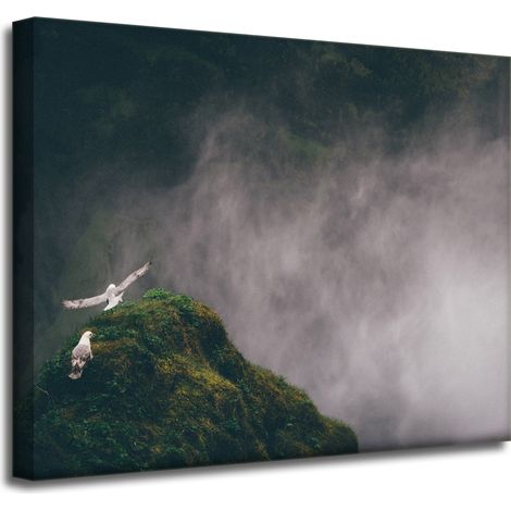 Leinwanddruck Natur aus der Vogelperspektive 50x40 cm