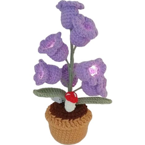 Ewiges Blumengeschenk, Topfpflanze – Lila Nachtlicht