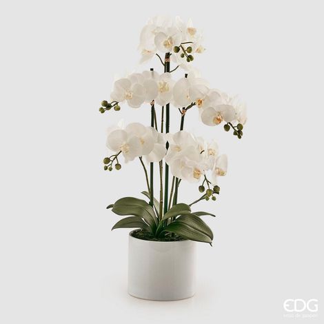 EDG Enzo De Gasperi Orchidea Phalaenopsis Pianta x5 con Vaso Artificiale H 65 Cm White