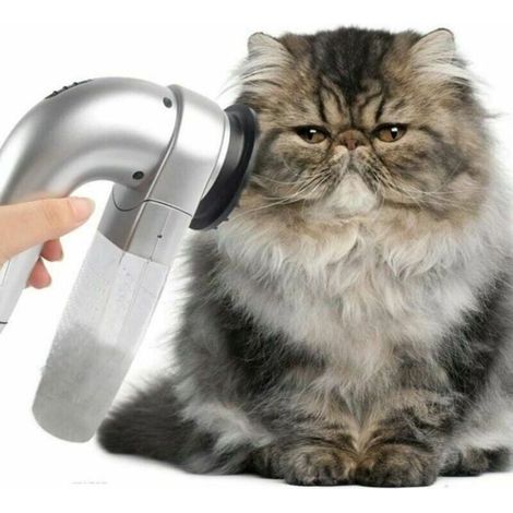 Brosse électrique de nettoyage des poils d'animaux domestiques, aspirateur pour chiens et chats, outil de toilettage