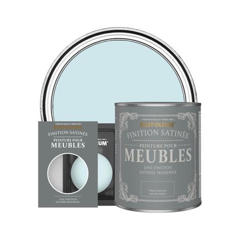 Peinture pour Meubles Finition Satinée - Eucalyptus (1/2)