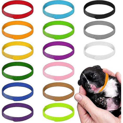 15 Pcs Colliers Identification De Chiot, 30 Cm Colliers Pour Chiots Colliers Bandes 15 Couleurs Collier Chaton Rglables Pour Nouveau-n Animaux De (1/5)