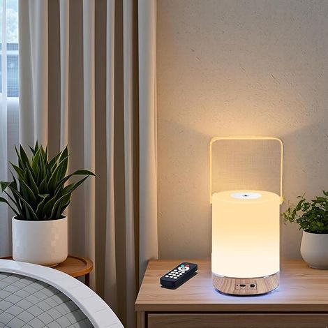 Bedside Lamp Touch Dimmable LED Night Light Kids with Remote Control and Timer Table Lamp RGB 13 Colors Atmosphere Light Mood Light Rechargeable Night Light (1/5)