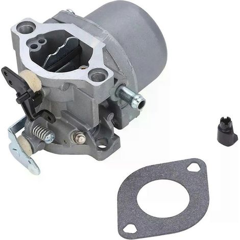 Carburateur pour moteur Briggs & Stratton 285707, 289707, 28B705 et 28M707 (1/5)