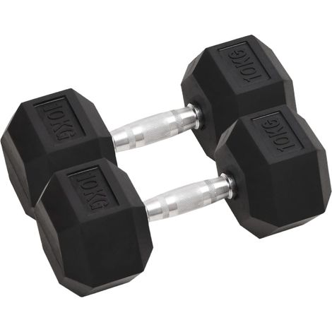 vidaXL Dumbbells 2 pcs 20 kg Total Cast Iron (1/5)