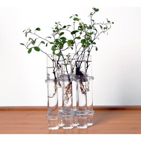 Clear 6 Tubes Forme Flower Vase Vase Vase Tank Tank Accueil Décoration (1/5)