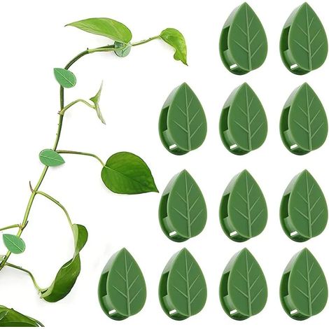 50 supports pour plantes auto-adhésifs, connecteurs pour plantes, clips pour plantes grimpantes, fixations murales, tuteurs et clips de plantation (1/5)