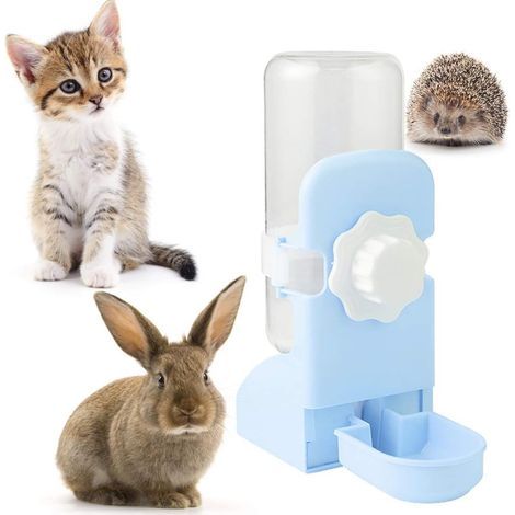 Distributeur Automatique Eau pour Petits Animaux et Petit Abreuvoir Suspendu pour Lapin Cobaye Furet Cochon d'Inde, Bleu (1/5)