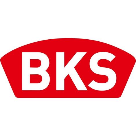 ZT-Einsteckschl.0215 BAD 20/ 55/20/8mm DIN L silber ktg.Kl 1 Ku.BKS