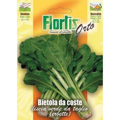 BIETOLA DA COSTE ERBETTE