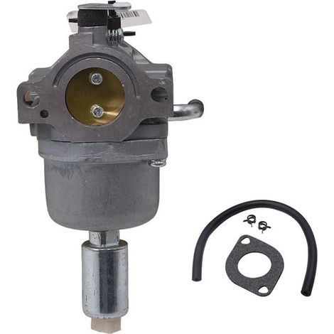 Carburateur compatible avec les moteurs Briggs & Stratton 13,5 CV (arbre 590400, 796078, 498811) - Accessoire moteur (1/4)