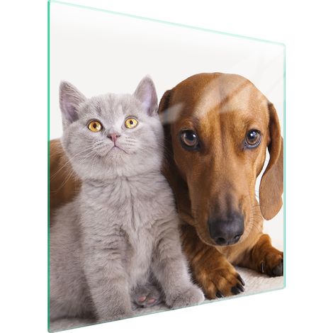 PLACA PROTECTORA DE VIDRIO PARA ESTUFA 50x52 ANIMALES (1/5)