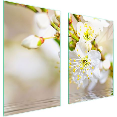 PLAQUE DE PROTECTION EN VERRE POUR CUISINE 65x52 PRUNE (1/5)