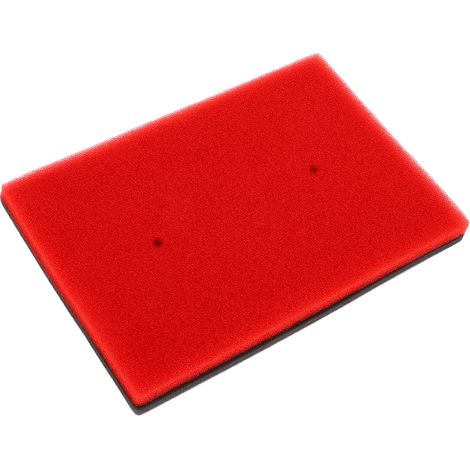 Mousse de filtre à air pour moto 11013‑0020, remplacement anti-usure pour Ninja 300 EX300 ABS KRT Edition 2016‑2017 (1/5)