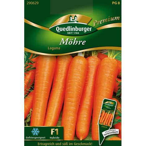 Quedlinburger Saatgut – Carotte Laguna – Graines de légumes, variété très précoce, racines lisses de 18-20 cm (1/2)