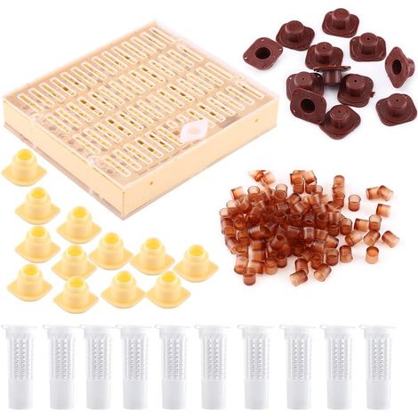 Kit essenziale per l'apicoltura Apicoltura regina Produzione apistica Pappa reale (1/5)