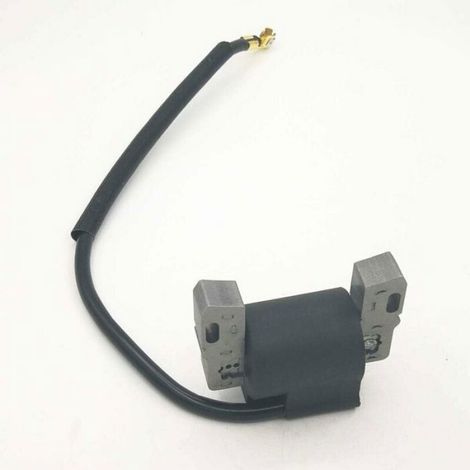 Bobine d'allumage Briggs & Stratton, convient pour 492341, 490586, 491312, 495859, 715231, 591459-LIAIKI