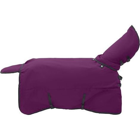 Couverture pour cheval vert foncé et noir, 75 cm en polyester (1/5)