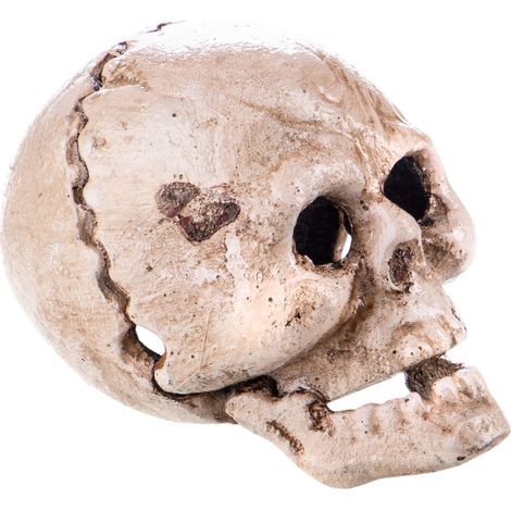 Abrepuertas de calavera de hierro fundido: un práctico detalle gótico. (1/5)