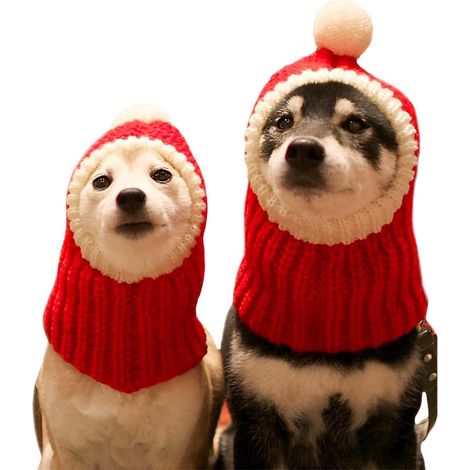 Bonnet De Noël - Snood Tricoté Pour Chien Et Humain - Pompon Décoratif - Rouge Vert - Tailles XS À XL (1/5)