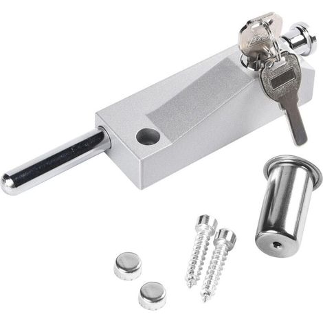 Boulon de porte multi-usages, serrure de porte de garage, serrure de boulon de porte, serrure d'abri, serrure de porte universelle, fournie avec 2 clés (1/5)