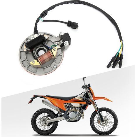 Bobine magnétique Lifan 50-125cc + volant d'inertie (nécessite un emballage en carton) (1/5)