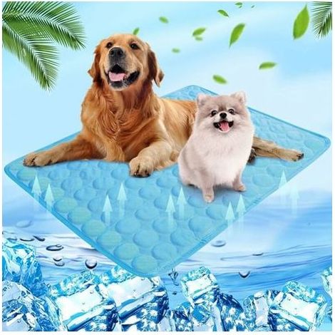 Cyslmuk – Kühlmatte 55 x 70 cm für Hunde und Katzen – Selbstkühlend – Waschbar – Wasserdicht – Rutschfest – Komfortabel – Blau (1/5)