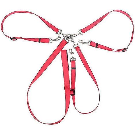 Laisse de dressage réglable pour chiots et chiens à trois têtes (rouge) (1/3)