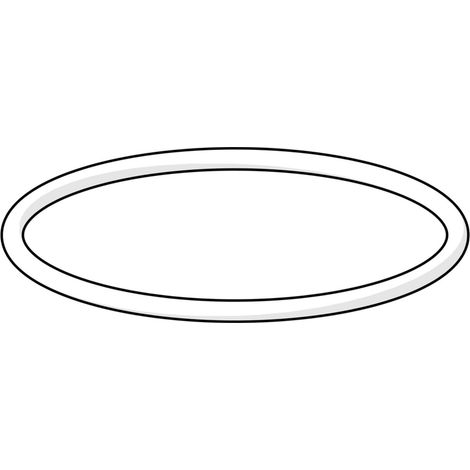 Hansa O-Ring 59913279 49,00 X 2,00 (1/2)