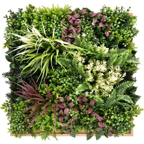 Jardin Vertical Marco Maldivas. 50 cm x 50 cm. Bonerva
