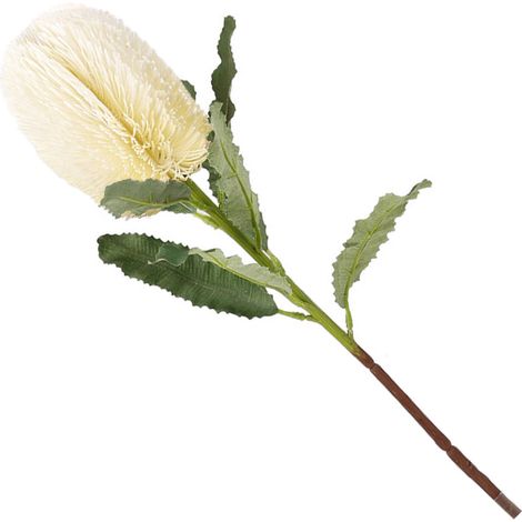 Fleur artificielle Banksia - Plante décorative de luxe en blanc lait pour maison/salle/hôtel - 64cm avec feuilles en soie (1/5)