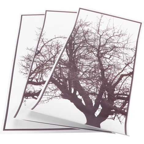 Stickers décoratifs style nordique arbre gris pour décoration murale intérieure (1/5)