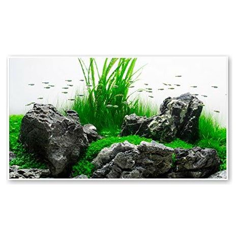 Sfondo doppio Amazonia blister 30x60cm (1/3)
