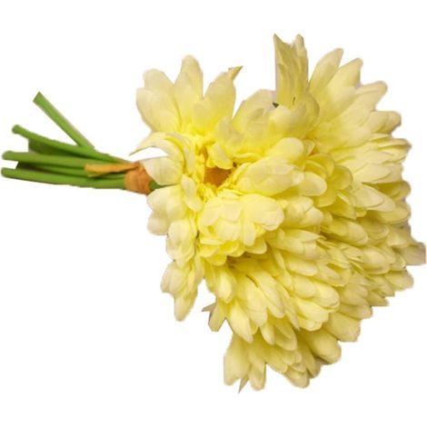 Ein Strauß aus 7 Gerbera an gummierten, cremefarbenen Stielen (1/3)