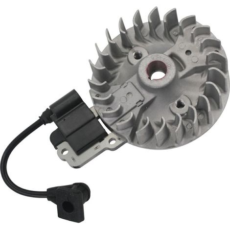 Kit bobina elettronica compatibile motore KASEI decespugliatore 38cc 4 Tempi
