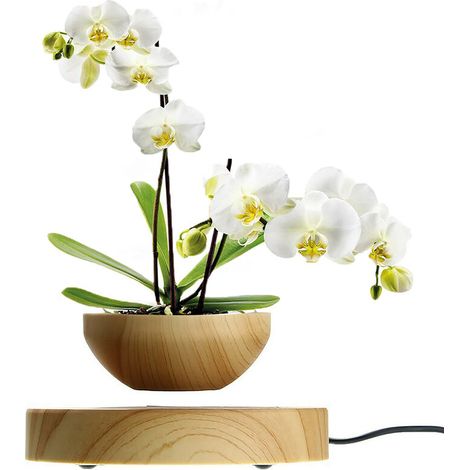 Pot de fleurs à lévitation magnétique – Flottant et rotatif 360° – Matériau ABS – Pour petites plantes d'intérieur – Décoration bureau (1/5)