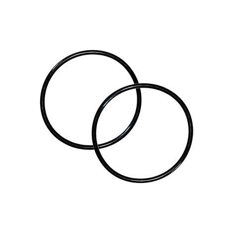 Joint torique d étanchéité 6020018 350099 – Compatible raccord Pentair 350157 351157 – Remplacement durable-40X