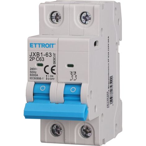 ETTROIT Interruttore Automatico 2P C63 63 A 6 kA IEC60898-1 JX126360
