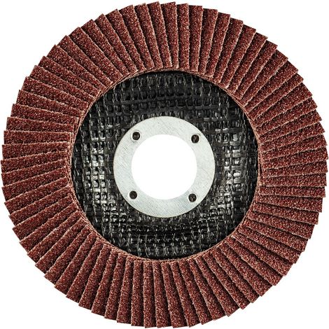 Fächerscheibe 115 x 22,2 mm, K60