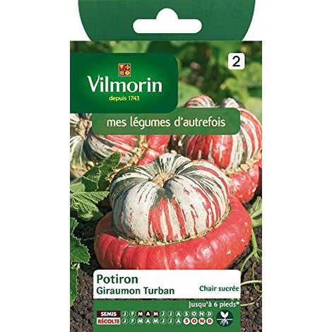 Sachet graines Potiron Giraumon Turban vilmorin (1/2)