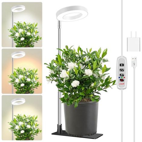 Pflanzenlampe für den Innenbereich Vollspektrumlampe Timer (3/9/12 Stunden) und 10 Helligkeitsstufen Höhenverstellbar (16 66 cm) 1 Stück (1/5)