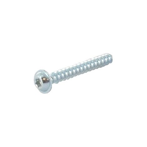 Vis à tête Torx 5 x 40mm GGP - CASTELGARDEN 112728702/0