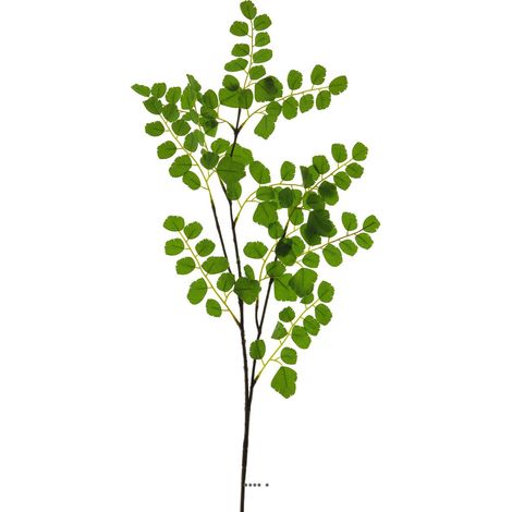 Branche de feuille d'acacia artificielles Vert L 35 cm H 90 cm (1/3)