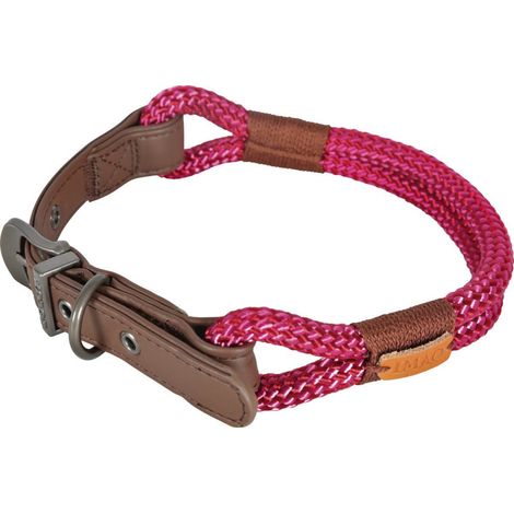 Collier IMAO 60 cm x 11 mm Hyde park fuchsia pour chien - zolux (1/3)