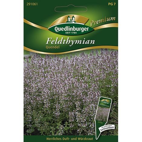 Quedlinburger Saatgut – Thym serpolet – Graines d'herbes aromatiques, vivace, couvre-sol, hauteur 5-10 cm