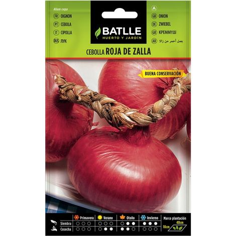 ZALLA oignon rouge (NIORT Type)