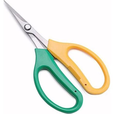 Ciseaux à bonsaï, ciseaux à vigne, outils de jardinage à manche en PP, sécateurs pour arbres fruitiers bonsaï (1/5)