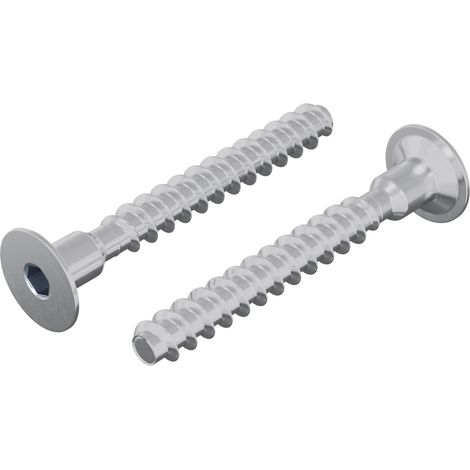 Tornillo 2 pcs Recubierto de zinc 5 x 40 mm Hierro vidaXL
